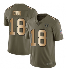 Men's Nike Oakland Raiders #18 Connor Cook Limited Olive/Gold 2017 Salute to Service NFL Jersey