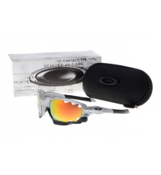 Oakley Glasses-0605
