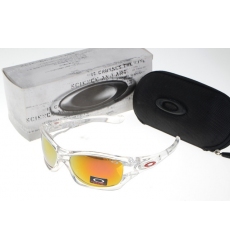 Oakley Glasses-1091